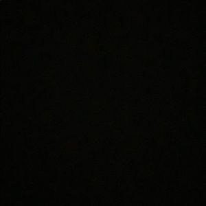 Meet your Posher, Daelynn